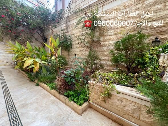 أرض 4 غرف 300م² للبيع في القنوات - المالكي