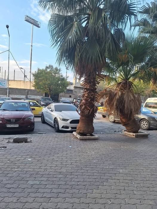 محل 15م² للبيع